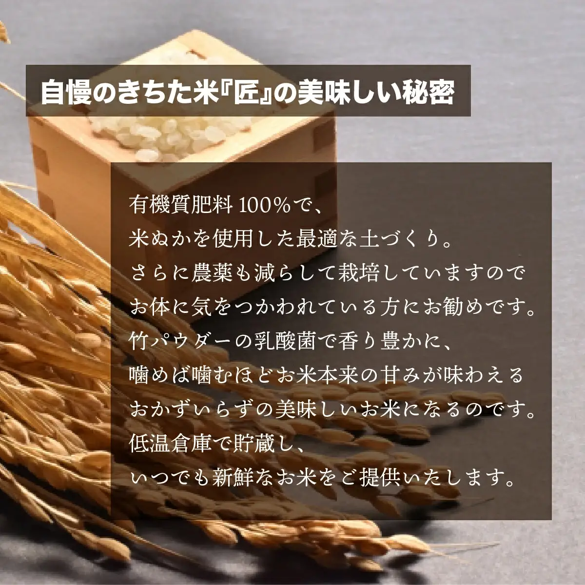 千葉県 大網白里市産 きちた米『匠(たくみ)』 （特別栽培米 コシヒカリ）20kg（10kg×2袋）