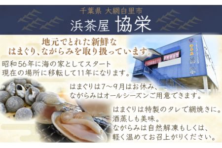 九十九里浜　天然はまぐり　1kg【厳選】（10月上旬より順次発送）ふるさと納税 はまぐり ハマグリ 蛤 天然 九十九里産 国産 ひな祭り 節句 おせち 千葉県 大網白里市 送料無料 P001