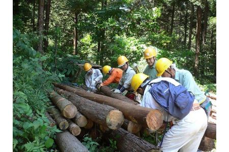 ミウルの「森の積み木」500個入り☆神奈川県「やまなみグッズ」の認定品です！！