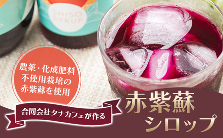 赤紫蘇シロップ 1本 300ml 紫蘇 tc-0007