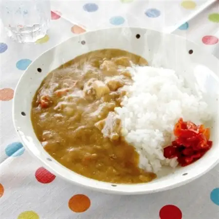 天理カレー　あまくち5個＆辛口5個セット_惣菜・加工品 レトルト    惣菜・加工品 カレー  _【1070777】