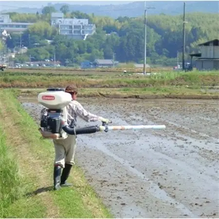 【令和8年10月中旬以降発送】ひのひかり(奈良県天理産)玄米30kg【令和8年産】(一等米)_ 玄米 米 こめ コメ_【1085320】