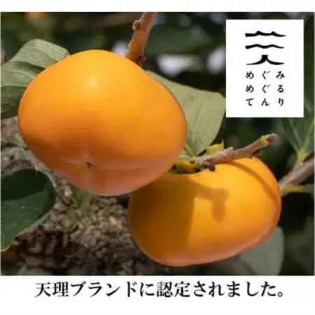 【R8年10月中下旬～11月の発送】種なし柿　2L～M　9個～12個_果物・フルーツ 柿（カキ）  かき_【配送不可地域：離島】【1233076】