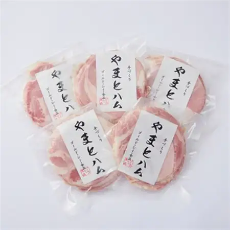 ゴールド・シー食品やまとハム切り落としセット(100g×5パック)_肉 ハム 豚肉 _【配送不可地域：離島】【1284833】