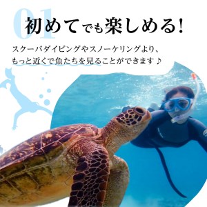 スキンダイビング（ 2名様 ） A051-002 アクティビティ 体験型 体験チケット 2名分 ガイド付 完全貸切 OCEANZ-オーシャンズ ふるさと納税 鹿児島県 奄美市 おすすめ ランキング プレゼント ギフト