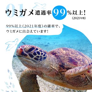 ウミガメ シュノーケリング（ 2名様 ） A051-001 アクティビティ 体験型 ウミガメシュノーケリング 2名分 水中写真 ガイド付 完全貸切 OCEANZ-オーシャンズ ふるさと納税 鹿児島県 奄美市 おすすめ ランキング プレゼント ギフト