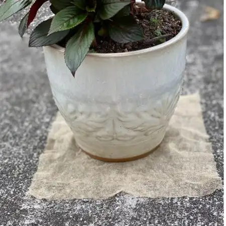 【園芸用】 防虫銅シート 1枚入り×10袋セット (銅シート10枚)_雑貨     雑貨・日用品  日用品 _【1234438】