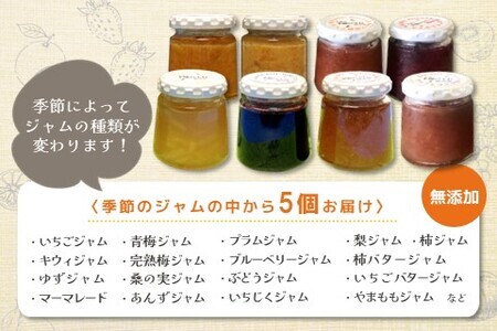 季節の宝石 無添加手作りジャム 5種 K070006