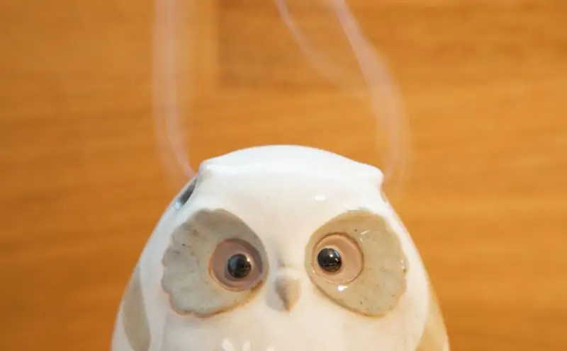 【香老舗 松栄堂】麗香炉 (ほっほ/芳輪 白川スティック80本セット) [ 京都 老舗 ふくろう型香炉 線香 人気 おすすめ かわいい お香 ギフト プレゼント お取り寄せ 通販 送料無料 ふるさと納税 ]