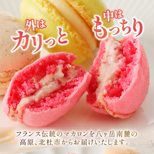 種類はおまかせ！ふるさと納税限定マカロン(12個入)　お菓子 マカロン アソート 冷凍 手作り バニラ チョコレート 木苺 カシス ヘーゼルナッツ ココナッツチョコレート 抹茶 ピスタチオ パッションショコラ バジル オレンジ ロイヤルミルクティー エスプレッソ [h194]