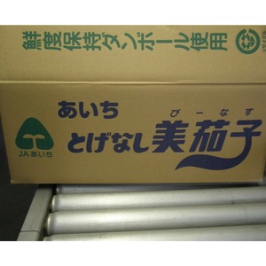 幸田町産「とげなし美茄子」 5kg ｜ なす ナス 茄子 野菜 ※11月～6月下旬頃に順次発送予定