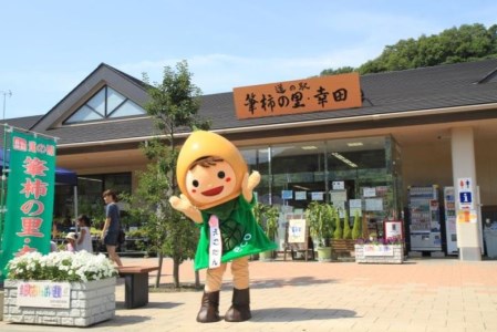 「道の駅筆柿の里幸田」オリジナル！幸田町産農産物で作ったシャーベット・ジェラート（10個）お楽しみセット