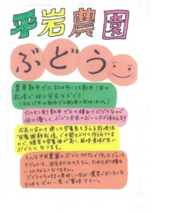 幸田町産 ぶどう使用 Sakazaki ワイン 2種詰め合わせ 各720ml