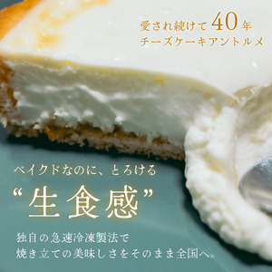 チーズケーキアントルメ 5号[15cm] 4～6人分 / 丸安田中屋 チーズケーキ 菓子 洋菓子 信州 長野県 諏訪市 諏訪 [18-01]