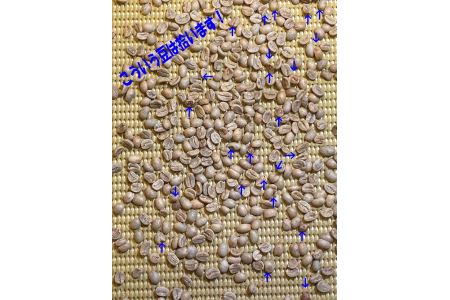 A142コーヒー 豆 深煎り 165g（ 500mlペットボトル）× 3本 北海道 鷹栖町 ちゃちゃびーんず ｺｰﾋｰ豆 珈琲 豆 ｺｰﾋｰ