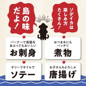 冷凍保存Ｏk！エメラルドブルーの美しい海で育ったおいしいソデイカ冷凍ブロック3キロ（9～10人前）！ W022-031u 魚 冷凍 イカ 加工品