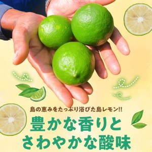 ■【 先行受付 】 栽培期間中 農薬 ・ 除草剤 ・ 化学肥料不使用 ！ 南国 の 島レモン 2kg ！【2026年9月～2027年2月下旬お届け】 W043-003u 果物