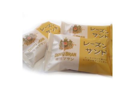 電気ブランレーズンサンドクッキー_0007-001-T03