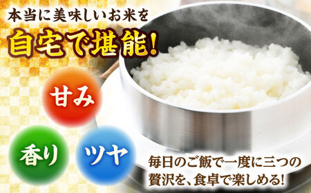 【令和7年産】真空パック 福井県産こしひかり 300g(約2合) × 10パック 計3kg 小浜市 / シマダ農園 [BFAV004] 