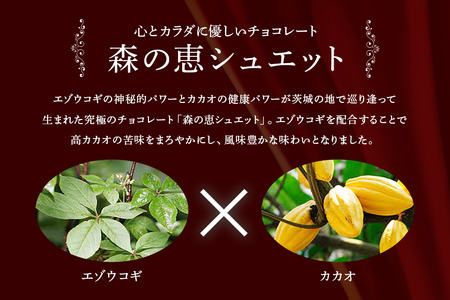 グッドヘルシー チョコ 「森の恵」詰合せ24枚入り　≪スクエア≫ BO-017