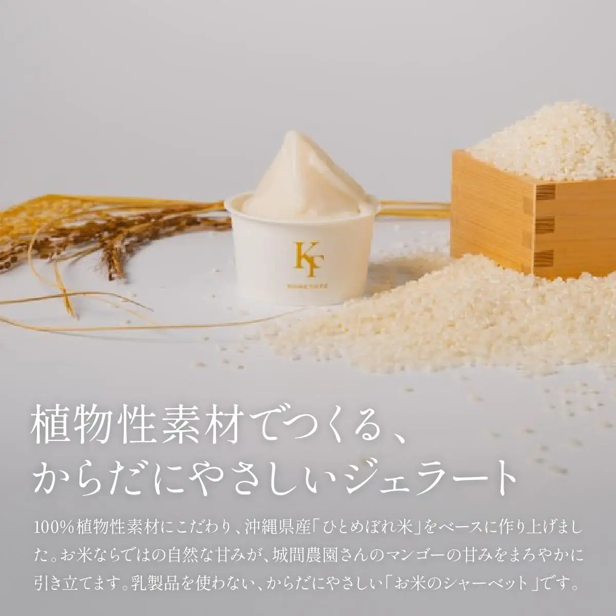 MANGO RICE GELATO   