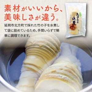 たけのこ水煮 200g×5袋 計1kg 国産  小分け パック 簡単調理 常温 グルメ 食品 食べ物 野菜 山の幸 山菜 株式会社大久保商店 宮崎県 延岡市 お取り寄せ 送料無料N067-YA1104
