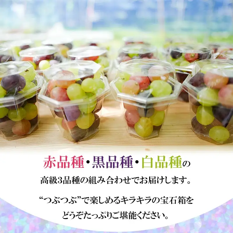 【令和8年産先行予約】お楽しみ！旬のぶどうのカラフル宝石箱 330g×5カップ　カラフルぶどう園