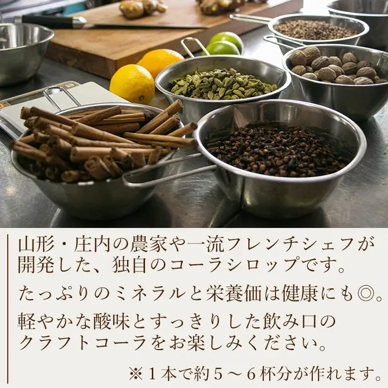 山形発 クラフトコーラ 希釈用 計750ml ギフトセット(375ml×2本)YamagataCraft YATACOLA 八咫コーラ