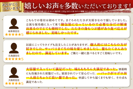 a10-100　焼津 天然 鮪 ネギトロ セット 合計 約1.2Kg