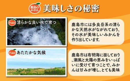 みかん 約11kg 佐賀県鹿島産 温州みかん サイズ混合 | 《先行受付11月上旬より発送予定》みかん ミカン 甘い 小玉含む フルーツ 果物 果実 くだもの 蜜柑 柑橘 国産 冬季 大容量 家庭用 贈答 お取り寄せ 佐賀県 鹿島市 B-99