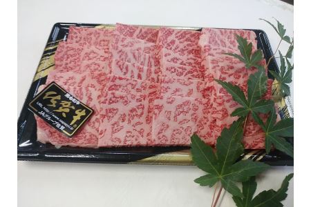 佐賀牛食べ比べセット焼肉用（肩ロース210g・牛もも210g）ロース カタ 焼肉 焼き肉 やきにく バーベキュー B-329