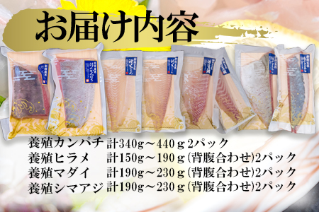 【 高鮮度 】 鮮魚活〆 特盛 お刺身 セット M079-008 魚 冷凍
