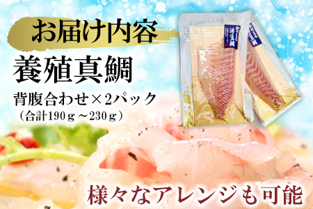 【 高鮮度 】 鮮魚活〆 真鯛 お刺身 セット M079-005 魚 冷凍