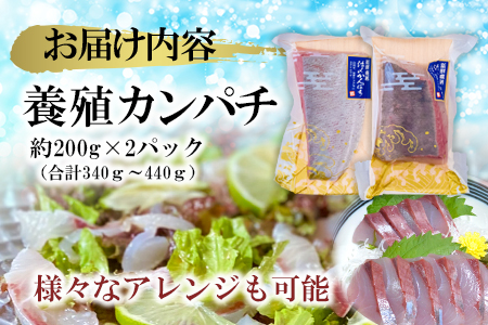 【 高鮮度 】 鮮魚活〆 カンパチ お刺身 セット M079-004 魚 冷凍