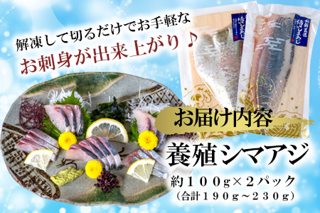 【 高鮮度 】 鮮魚活〆 シマアジ お刺身 セット M079-003 魚 冷凍