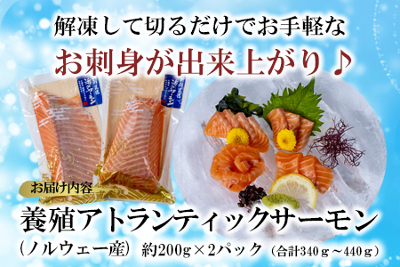 【 高鮮度 】サーモン お刺身 セット M079-001 魚 冷凍