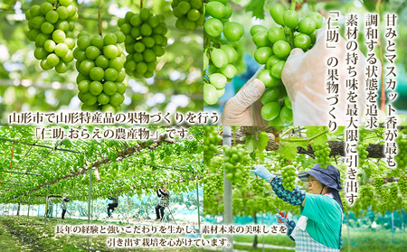山形市産 シャインマスカット 秀1.5kg以上(2～3房)【後半】 FZ22-398