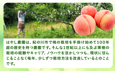 桃 朝採り 桃 約2kg