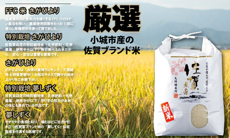 【定期便】 (12ヶ月連続お届け) 大坪精米所 佐賀ブランド米定期便（5kg×12回） 特A評価のブランド米 Q192-003