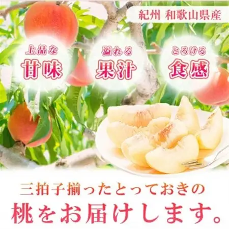 【2026年6月下旬より発送】紀州和歌山産の桃　秀品 3玉 化粧箱入【配送不可地域：離島・北海道・沖縄県】【1326939】
