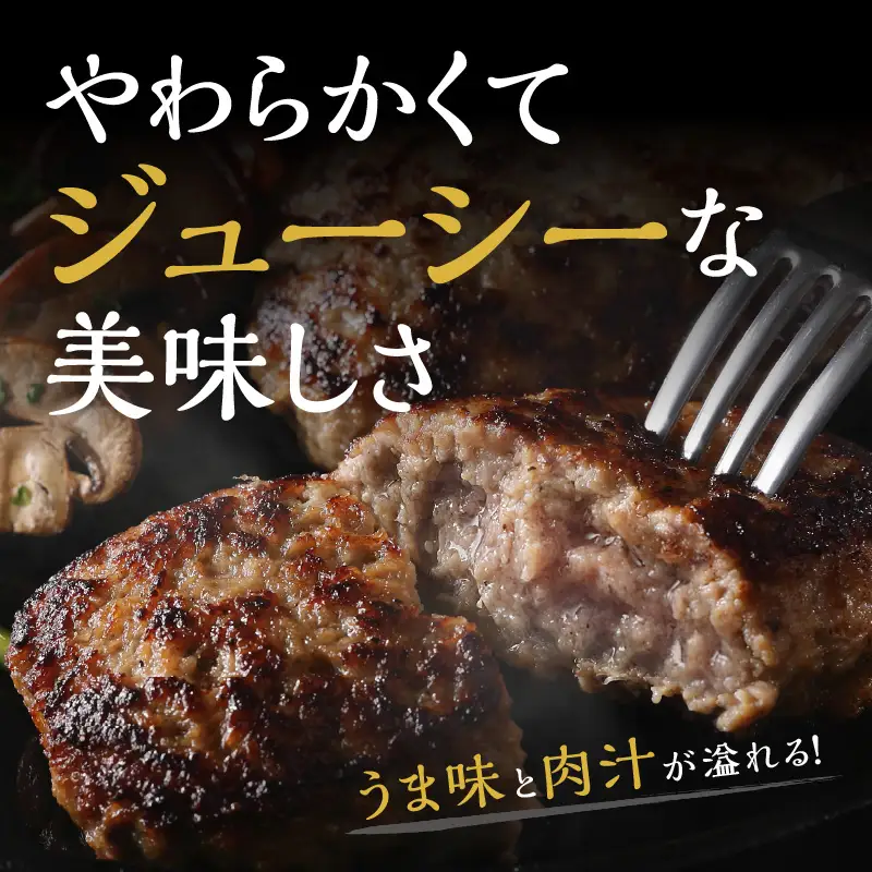 15個入り！博多和牛 手ごね熟成生ハンバーグ/黄金レシピ【A3-092】
