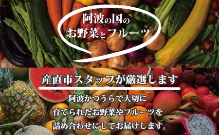 【定期便6回】阿波かつうら 農産物詰合わせ