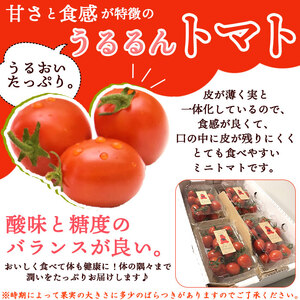 甘くて濃厚な味わい「うるるんトマト」(1kg） NFK0001