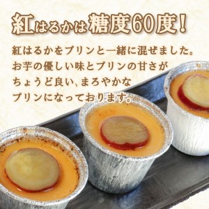 焼き 芋 いも プリン 9個 紅 はるか さつまいも お菓子 スイーツ デザート 洋菓子 秋 旬 生 クリーム 牛乳 洋 酒 卵 贈答 ギフト 10000円 冷凍 野菜 やさい 国産 愛媛 愛南