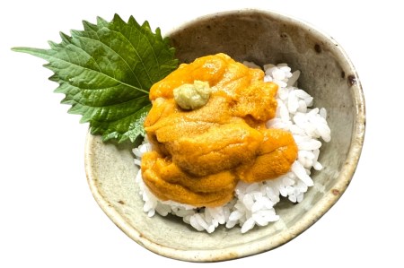 無添加塩水ウニパック(100g)×2個セット ミョウバン不使用 天然うに ウニ 雲丹 うに丼 軍艦巻き 北海道 函館 はこだて ふるさと_HD069-007