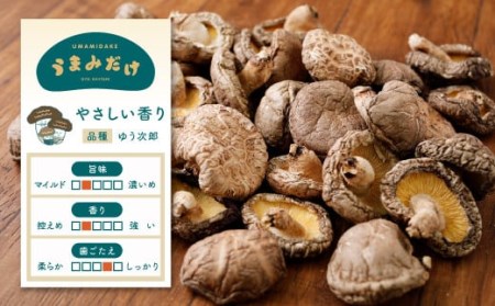 015-154x1 新物 上どんこ 1kg（500g×2袋）椎茸 うまみだけ 【2025年4月上旬以降順次発送】