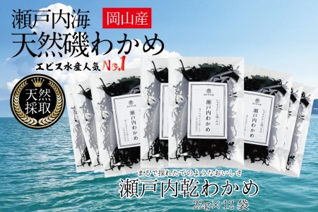わかめ 風味豊かな 瀬戸内 わかめ 22g×12袋 乾燥