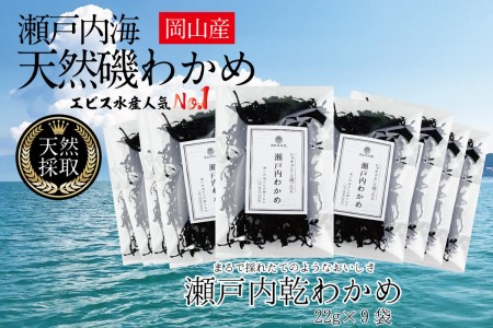 わかめ 風味豊かな 瀬戸内 わかめ 22g×9袋