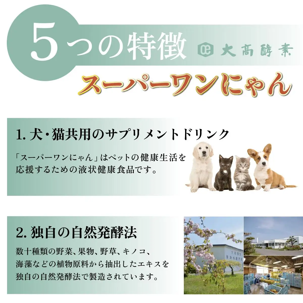 [5525-0719]大高酵素の犬猫用植物エキス発酵液「スーパーワンにゃん」100ml入り2本セット