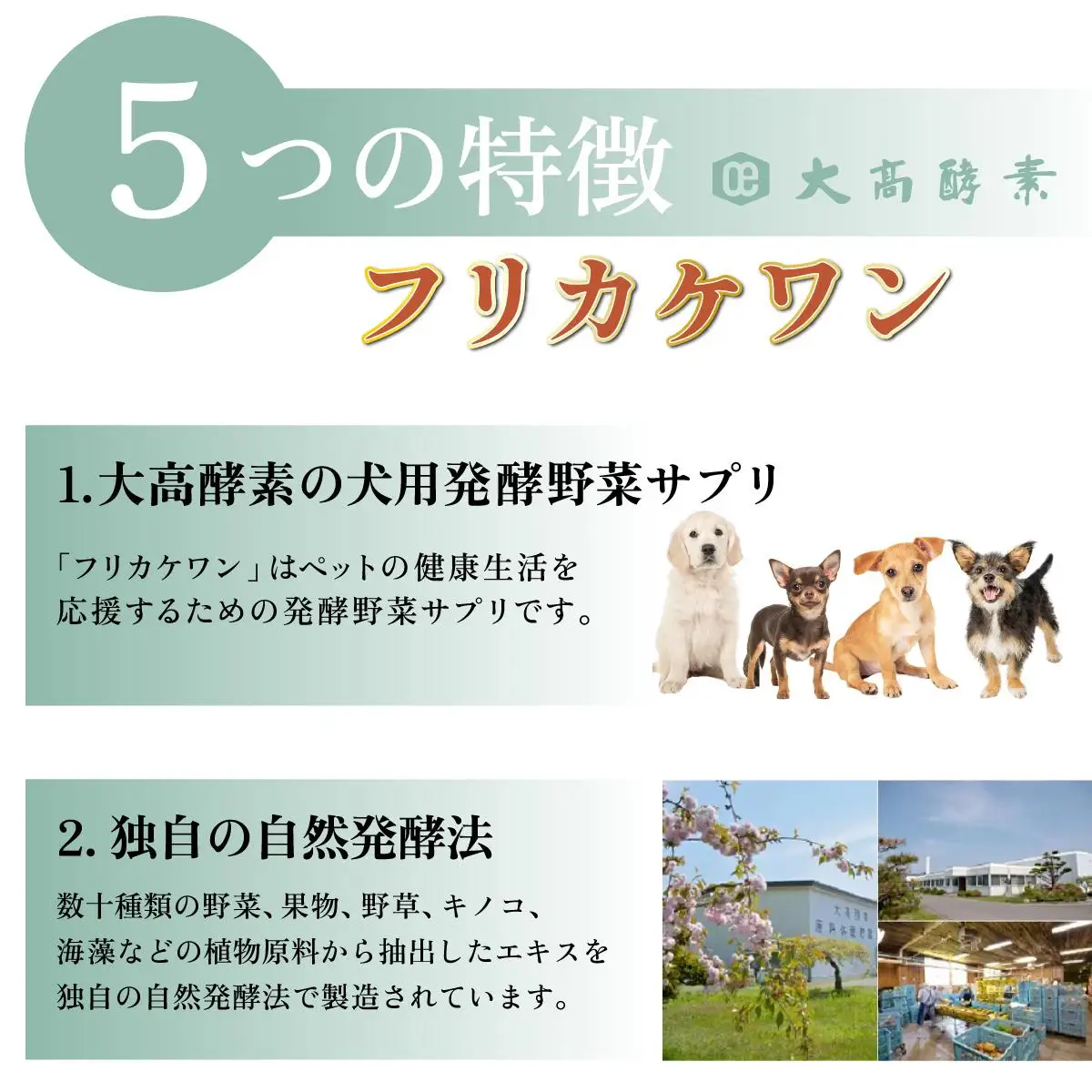 [5525-0716]大高酵素の犬用発酵野菜サプリ「フリカケワン」100g×2袋